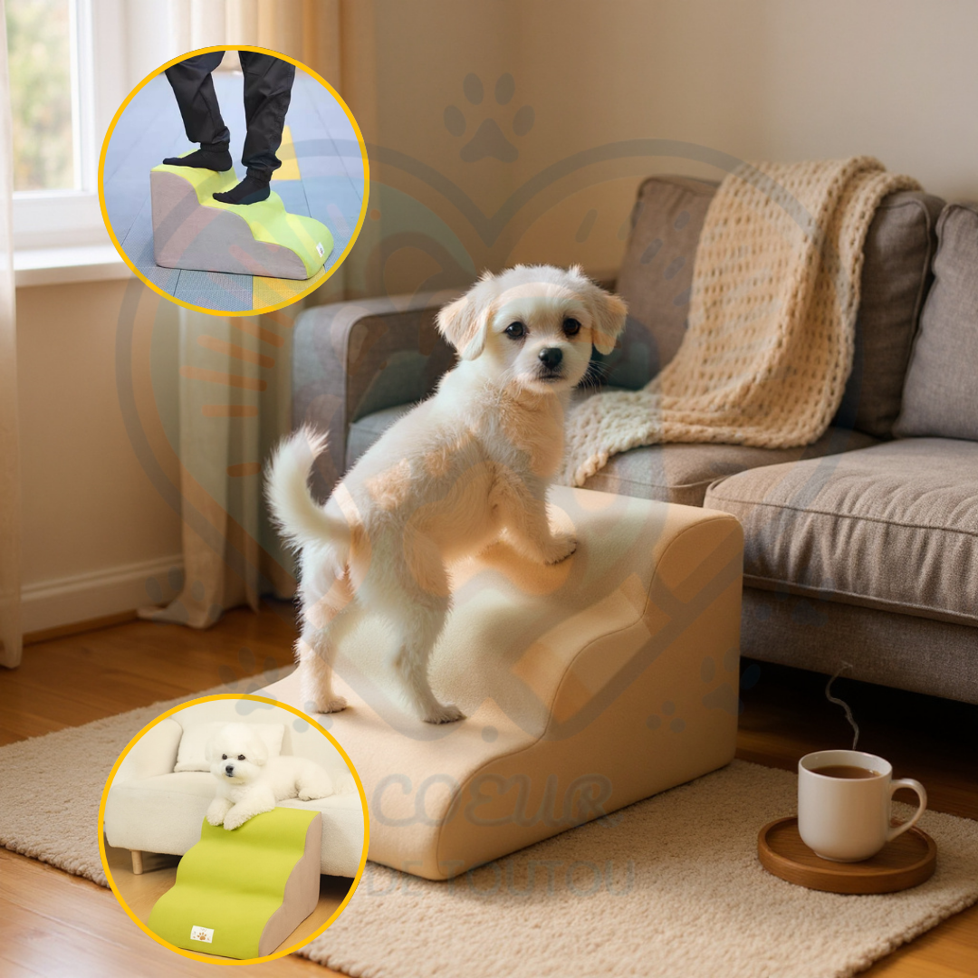 Escalier en mousse pour chien – StepEase™