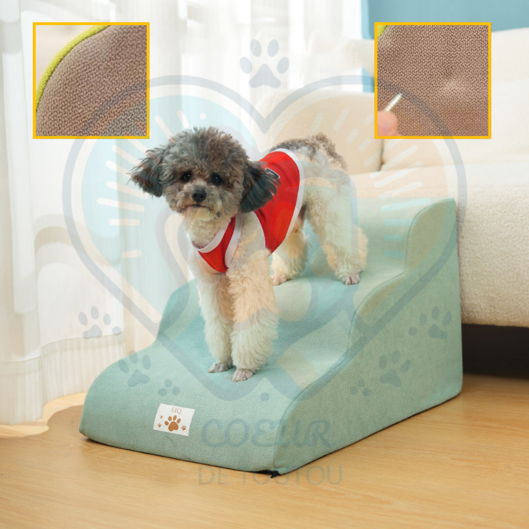 Escalier en mousse pour chien – StepEase™