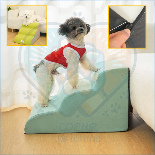 Escalier en mousse pour chien – StepEase™
