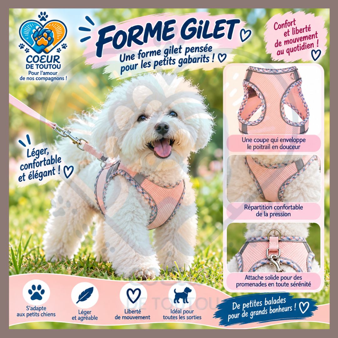 Harnais réfléchissant respirant petit chien + laisse | PRISM’AIR™