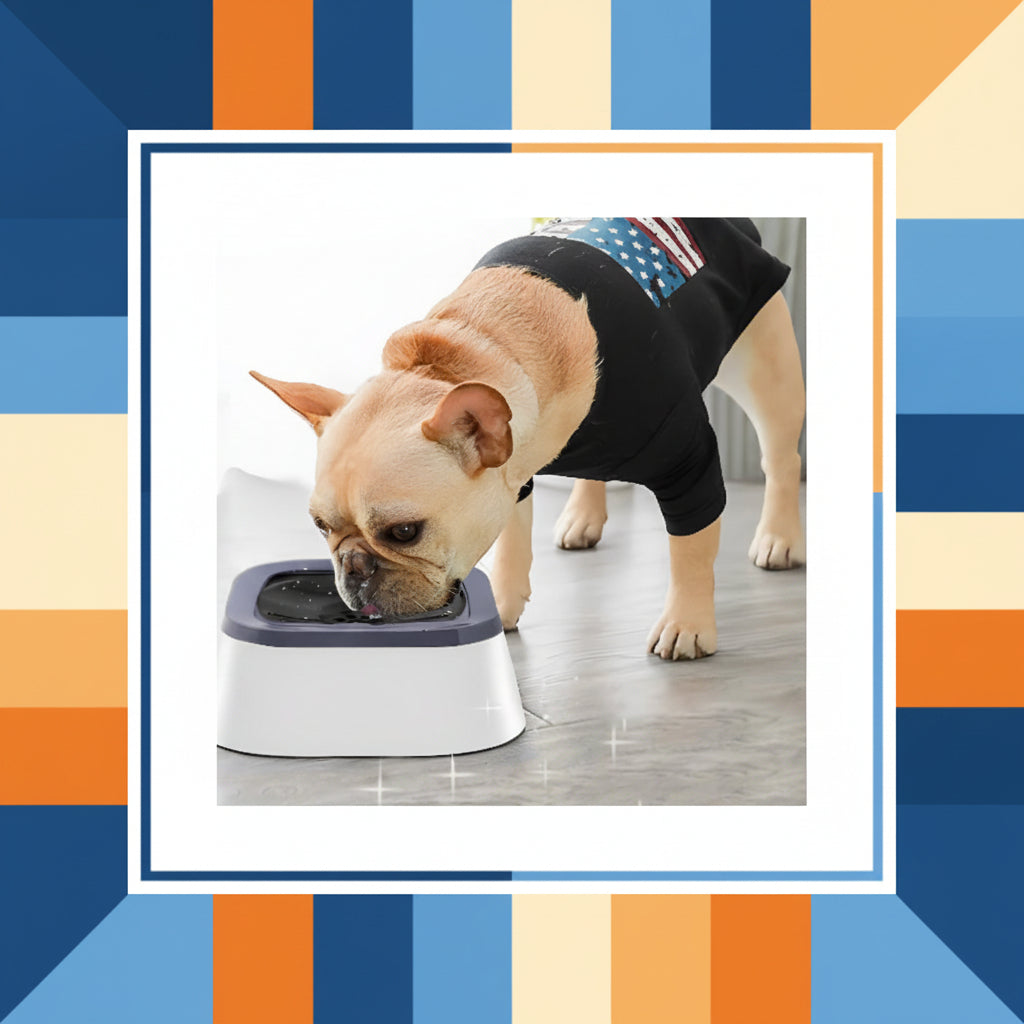 Gamelle pour chien