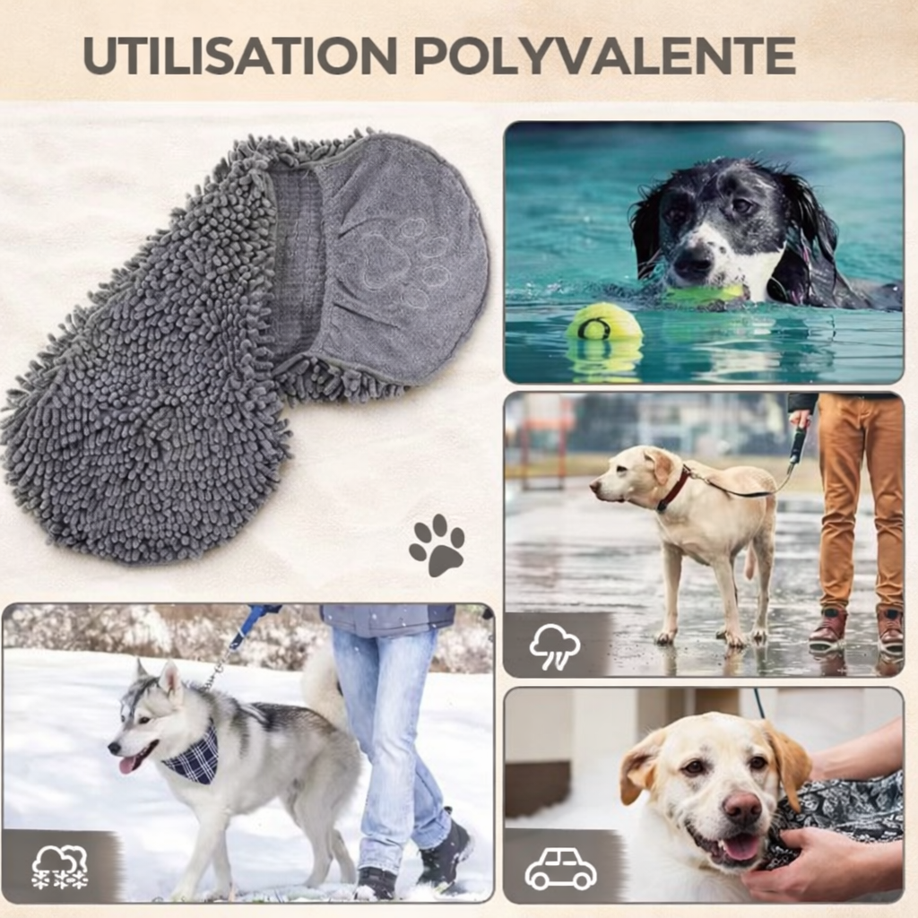 Serviette ultra absorbante pour chien | DryPaws™