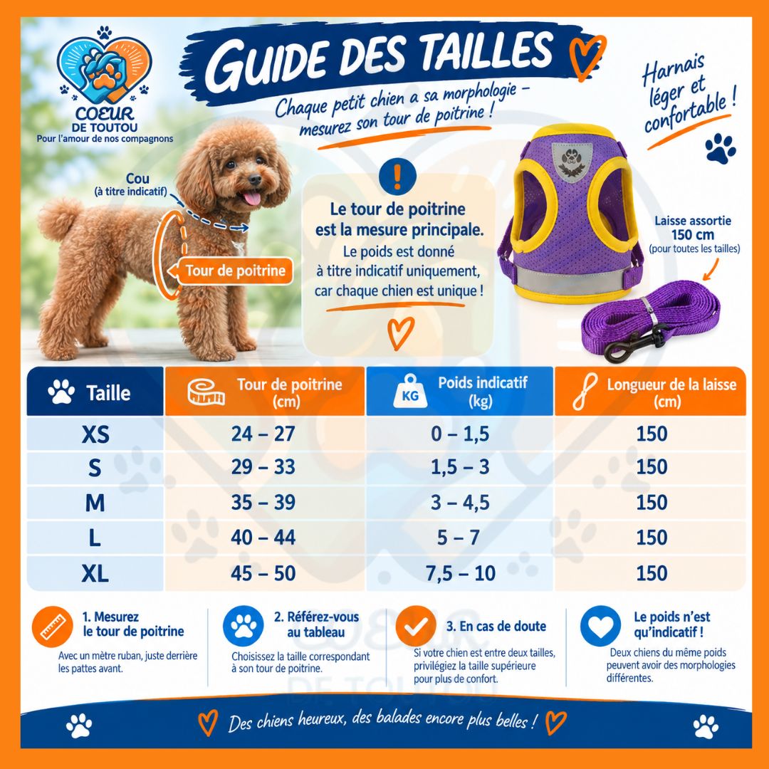Harnais réfléchissant petit chien avec laisse 150 cm | BALAD’AIR™