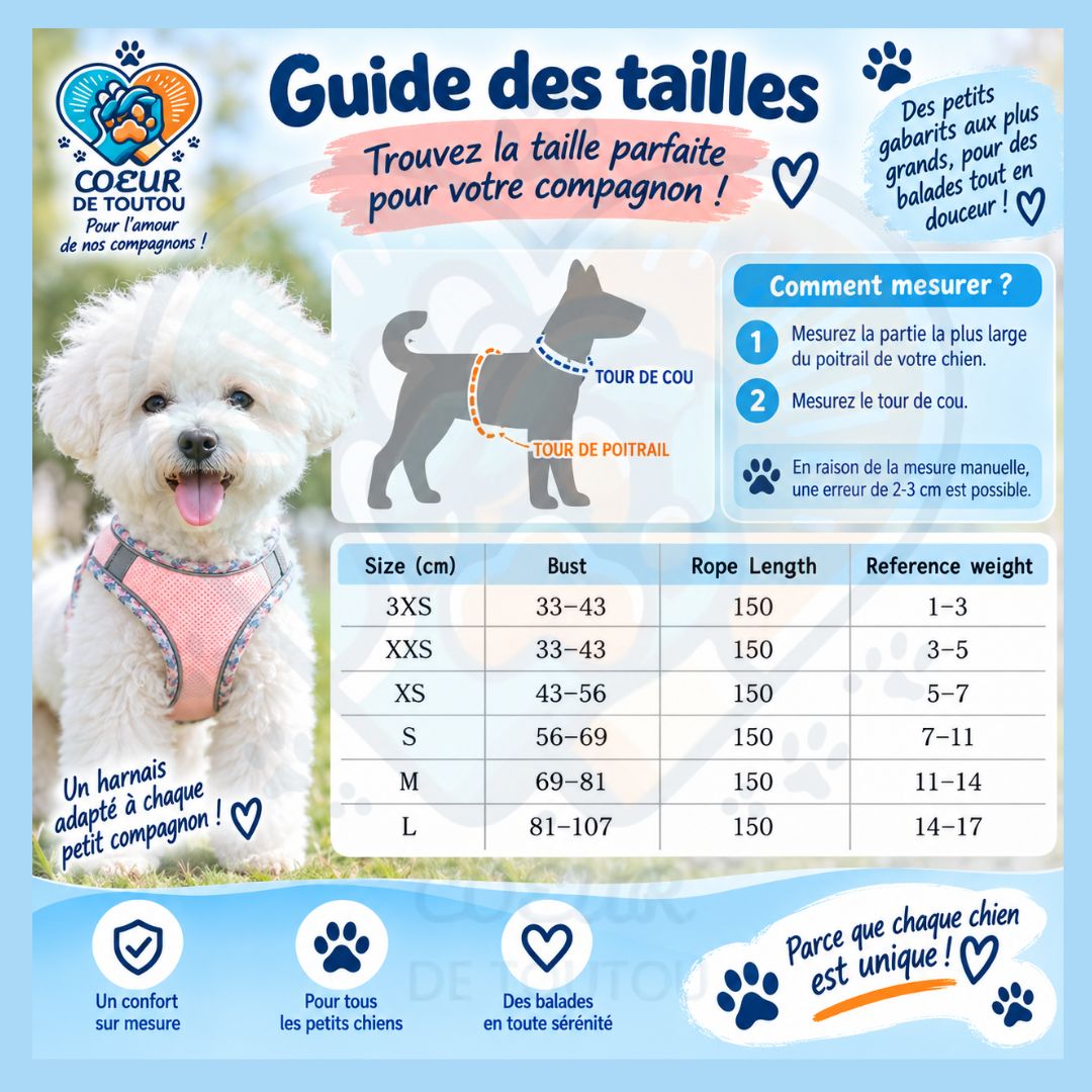 Harnais réfléchissant respirant petit chien + laisse | PRISM’AIR™