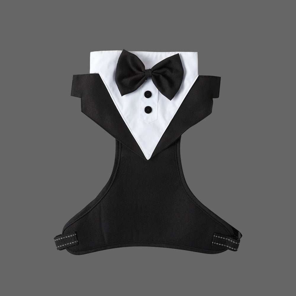 harnais de fête chien