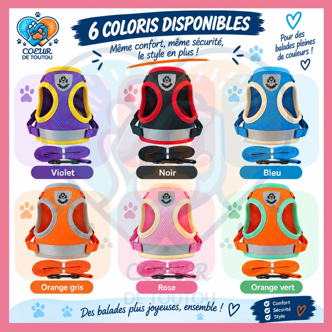 Harnais réfléchissant petit chien avec laisse 150 cm | BALAD’AIR™