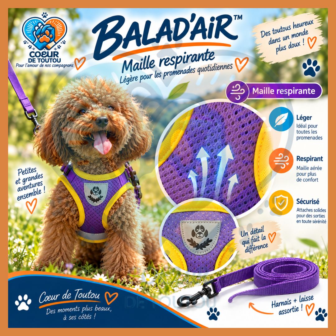 Harnais réfléchissant petit chien avec laisse 150 cm | BALAD’AIR™
