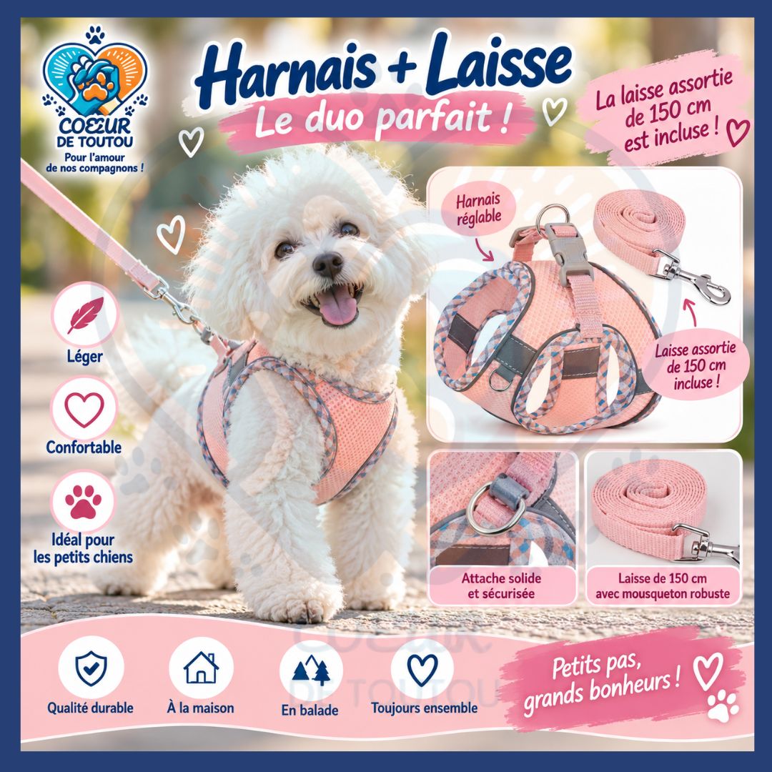 Harnais réfléchissant respirant petit chien + laisse | PRISM’AIR™