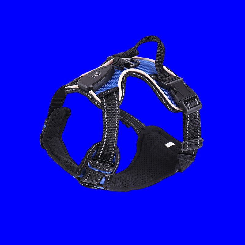 harnais pour chien led bleu