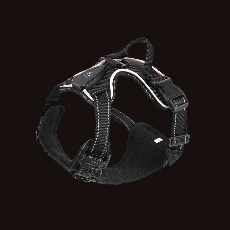 harnais chien led noir