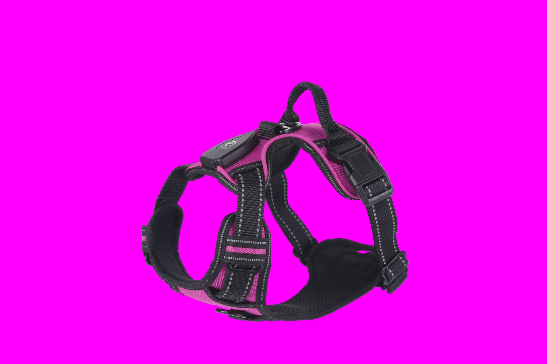 harnais pour chien rose