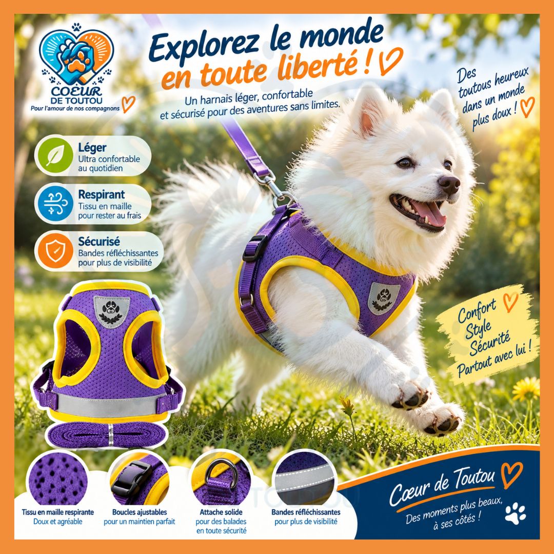 Harnais réfléchissant petit chien avec laisse 150 cm | BALAD’AIR™