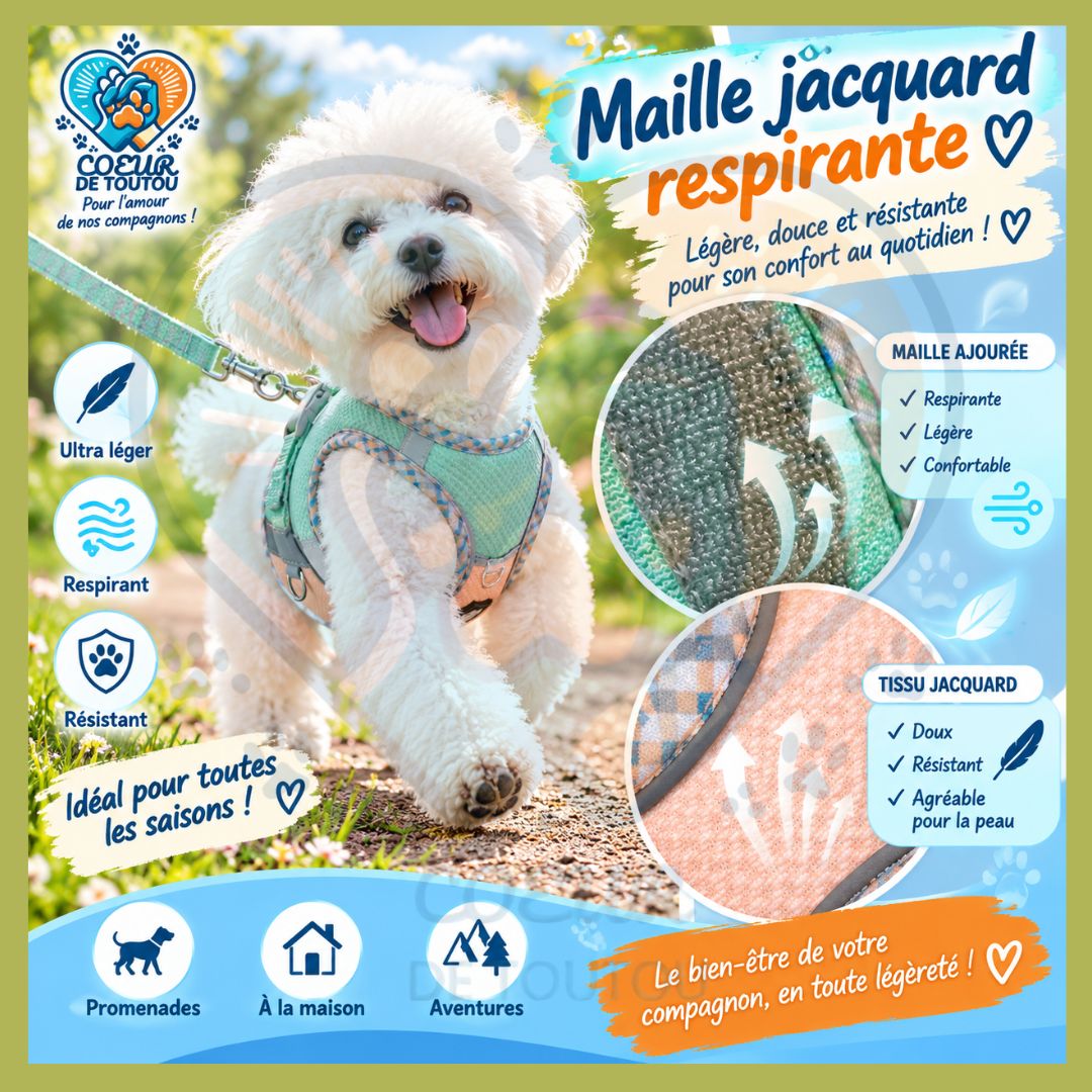 Harnais réfléchissant respirant petit chien + laisse | PRISM’AIR™
