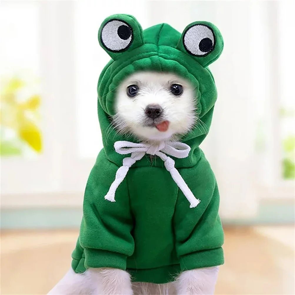HoodieGrenouilleMignonPourChiens™ - Coeur de Toutou