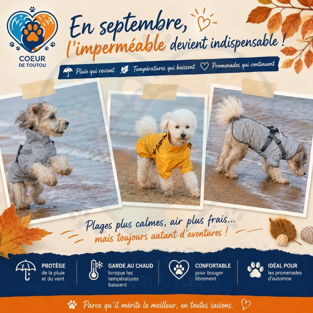 imperméable pour chien avec harnais