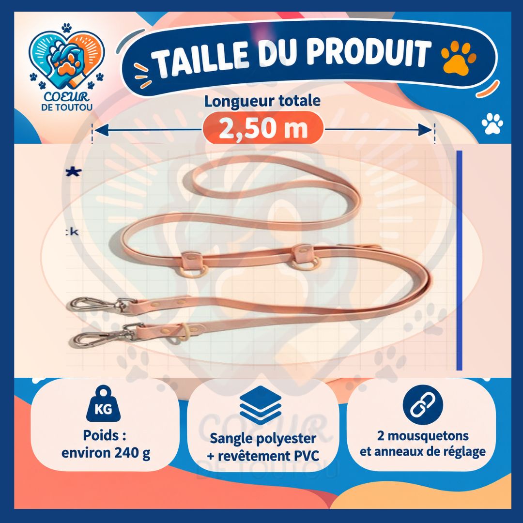 Laisse multifonction mains libres chien 2,50 m | FLEXIWALK™