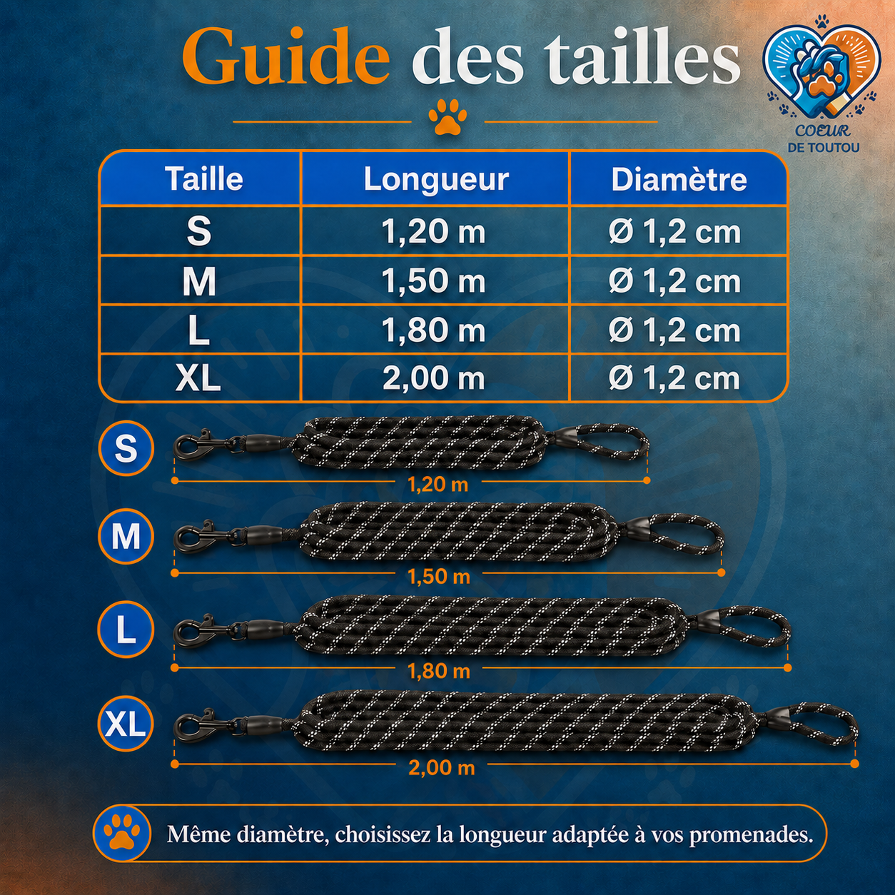 laisse reflechissante pour chien