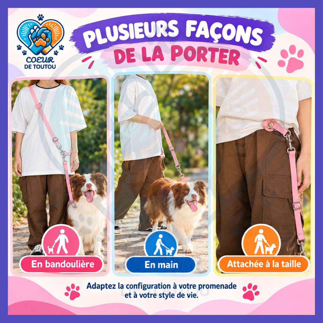 Laisse multifonction mains libres chien 2,50 m | FLEXIWALK™