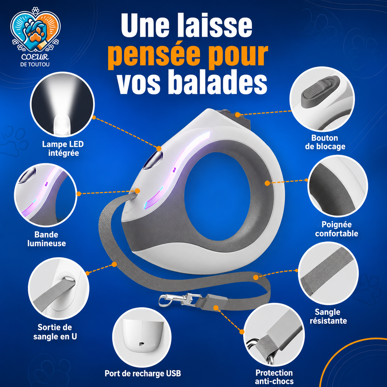 laisse retractable chien
