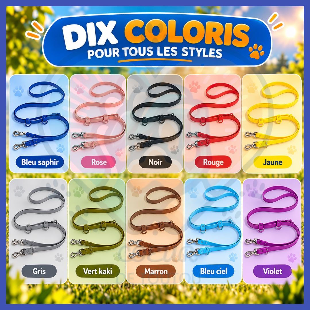 Laisse multifonction mains libres chien 2,50 m | FLEXIWALK™
