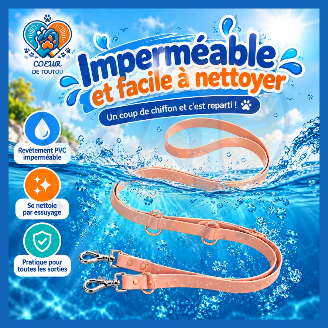 Laisse multifonction mains libres chien 2,50 m | FLEXIWALK™