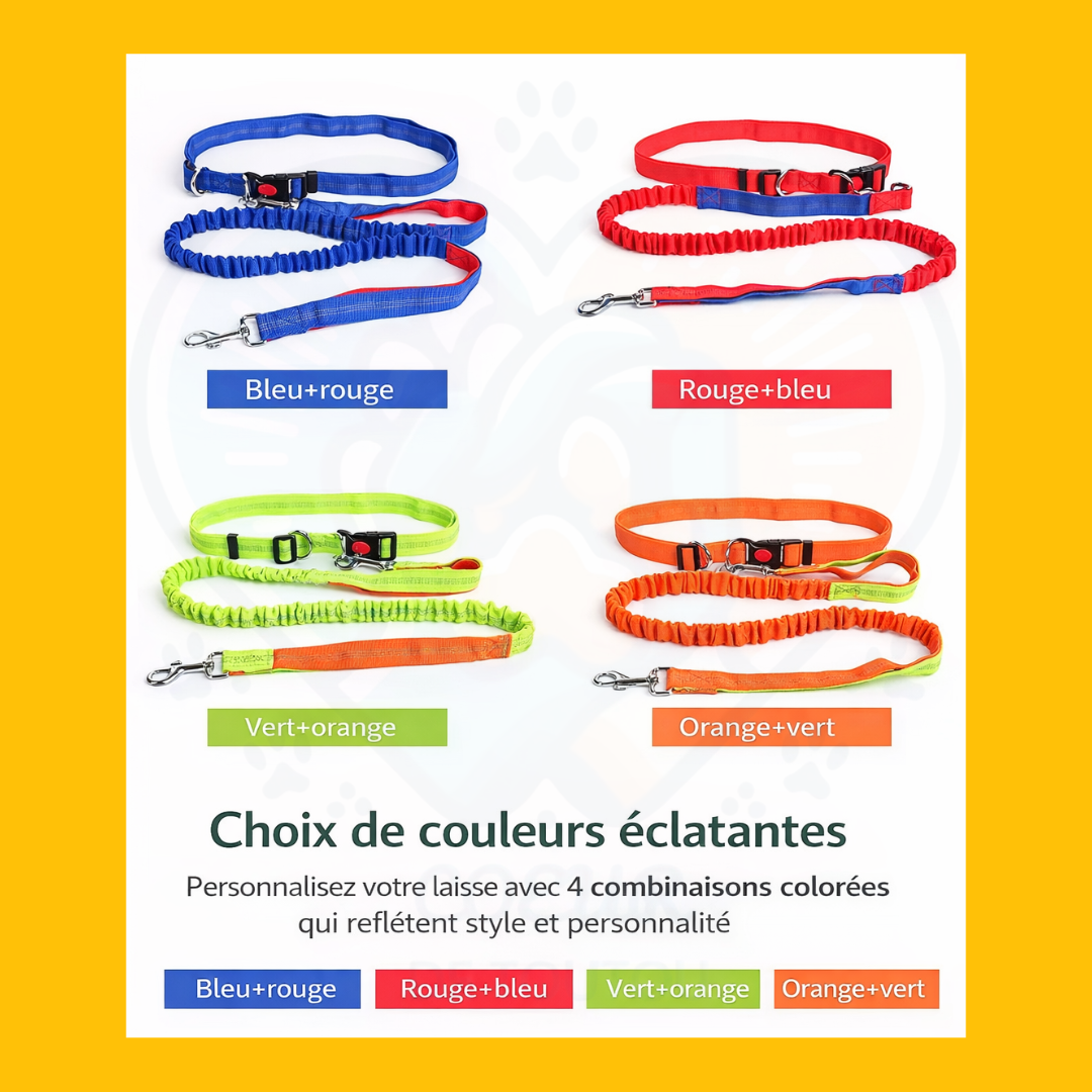 Laisse mains libres pour chien FlexBond™ | Ceinture réglable extensible réfléchissante