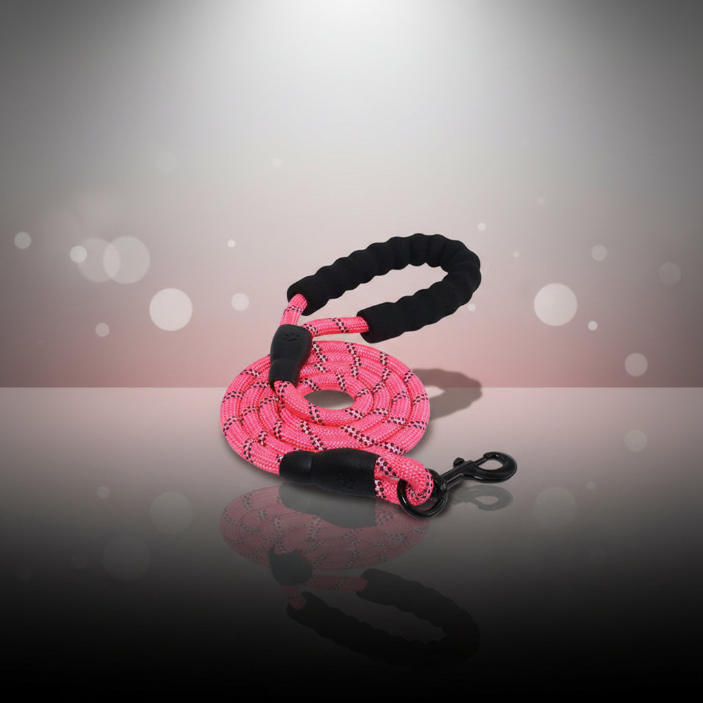 laisse reflechissante pour chien