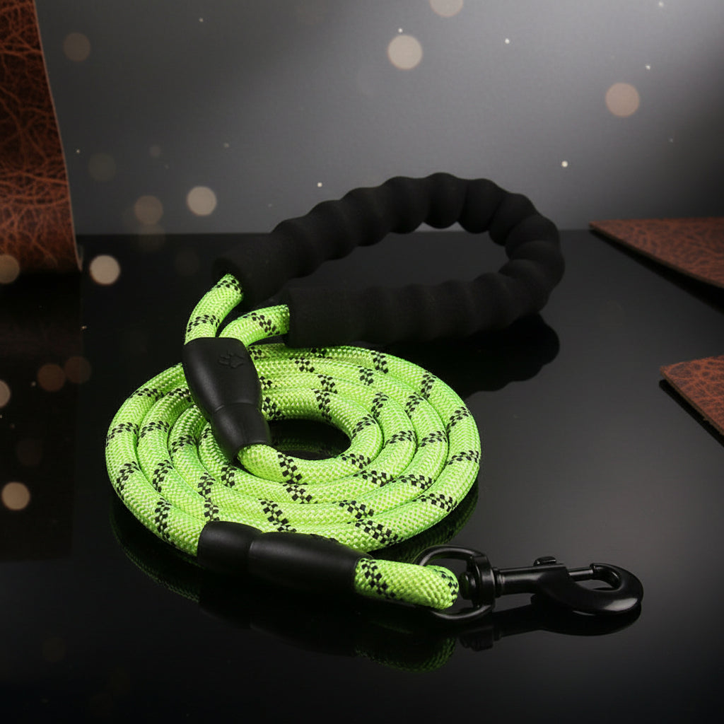 laisse reflechissante pour chien