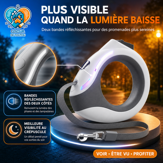 laisse retractable chien