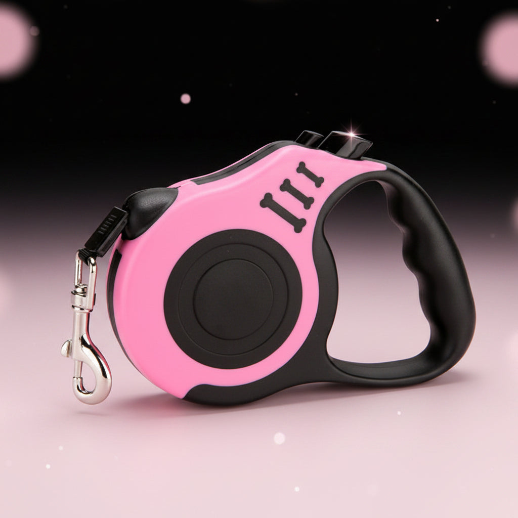 laisse pour chien