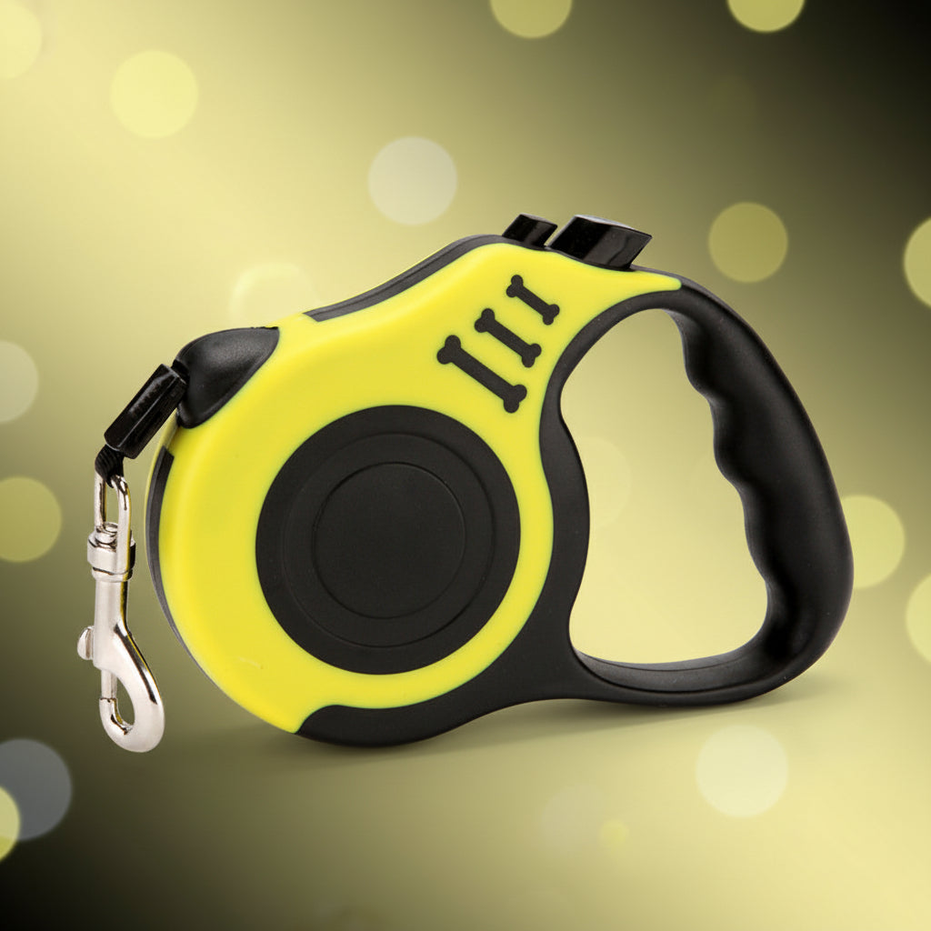 laisse pour chien