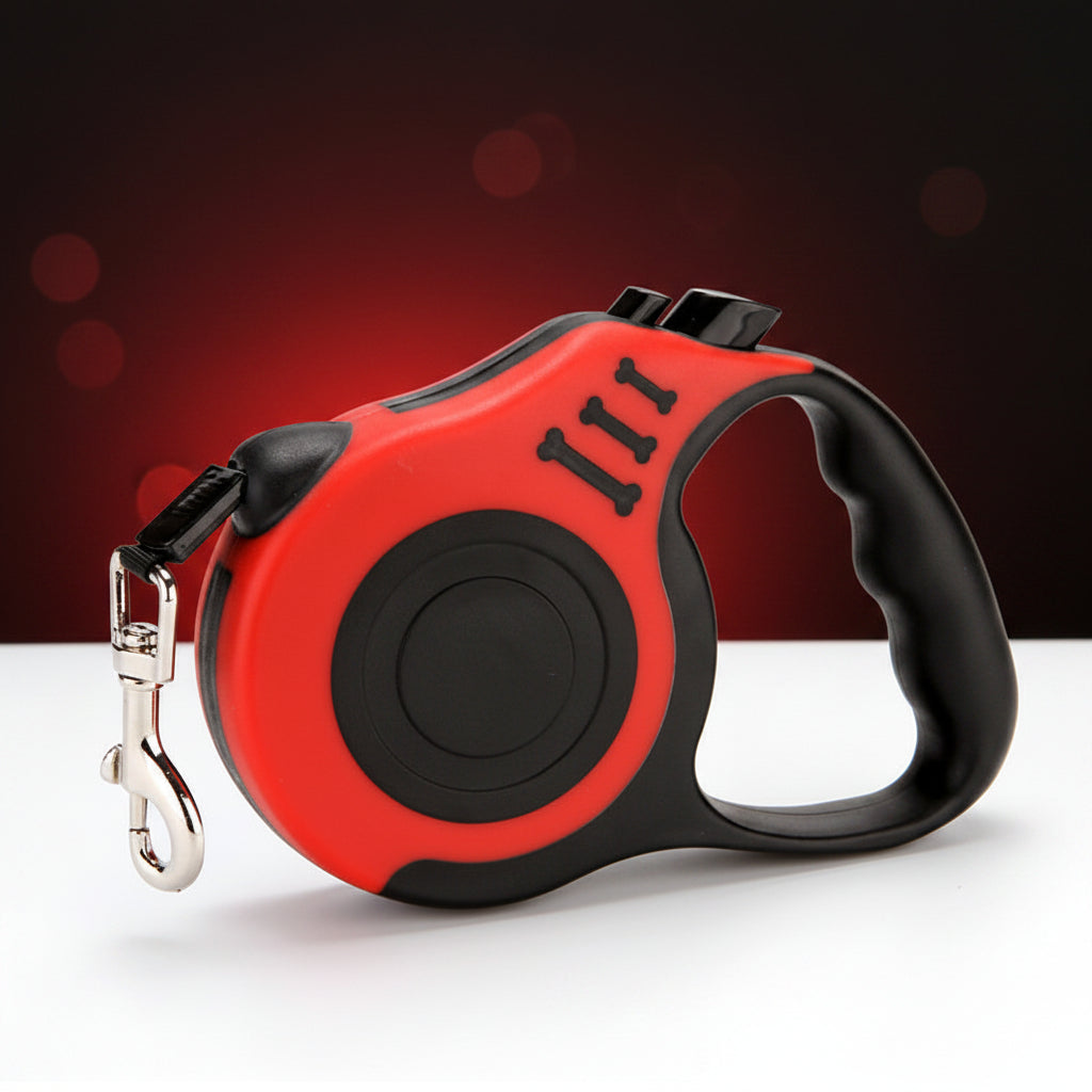 laisse pour chien
