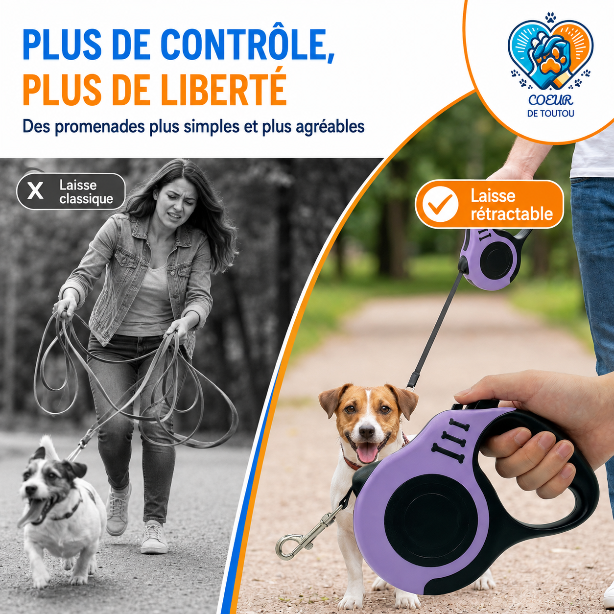 laisse pour chien