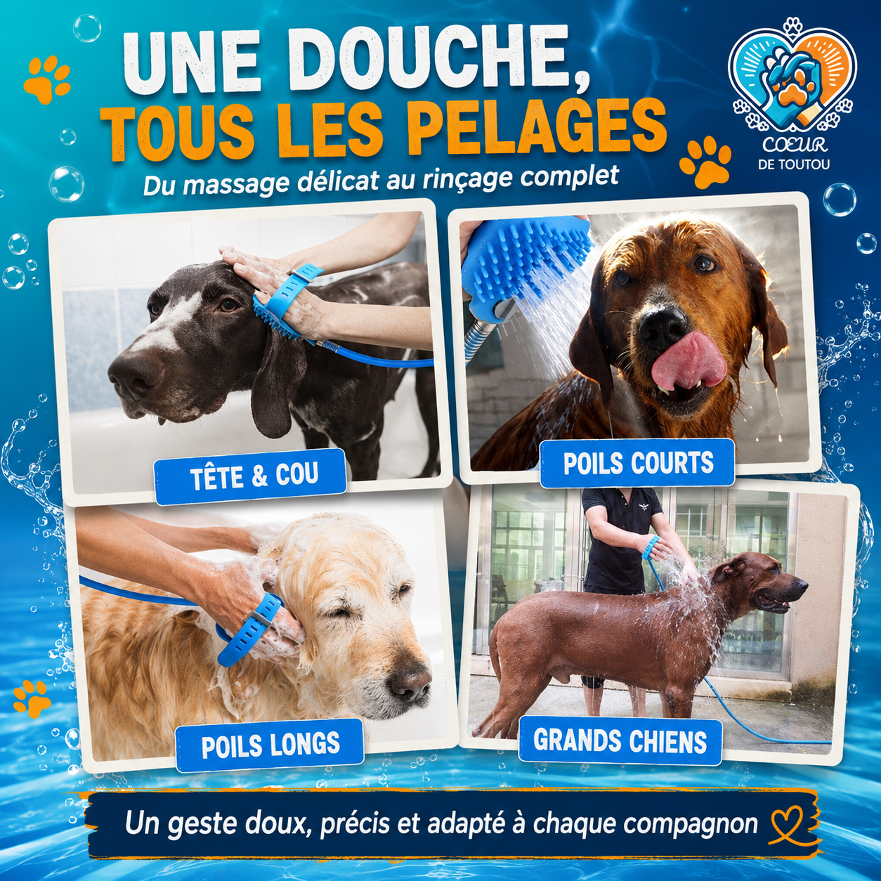 douchette chien tuyau