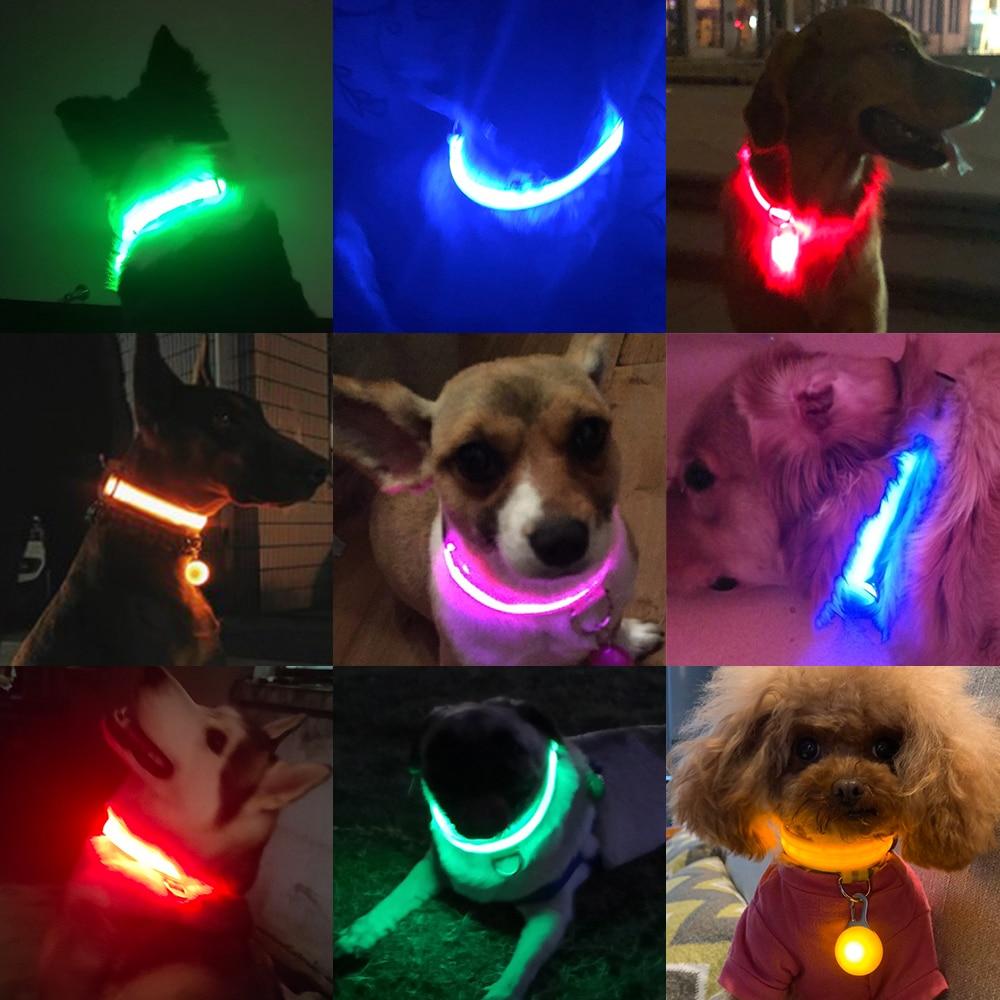 LedCollar™ - Collier à LED rechargeable pour chien - Coeur de Toutou