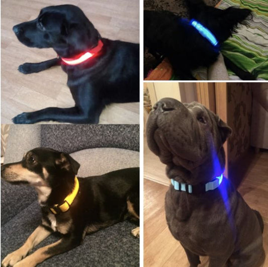 LedCollar™ - Collier à LED rechargeable pour chien - Coeur de Toutou