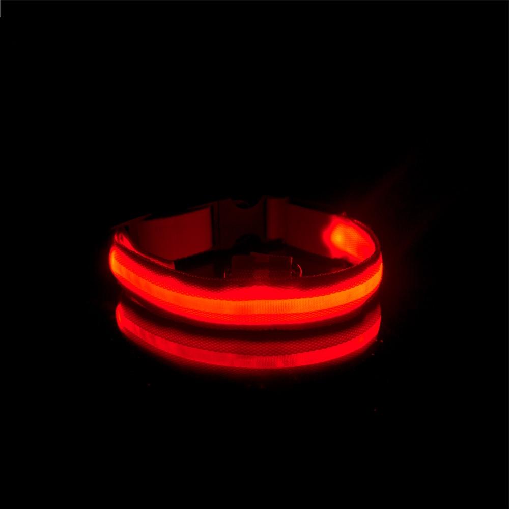 LedCollar™ - Collier à LED rechargeable pour chien - Coeur de Toutou