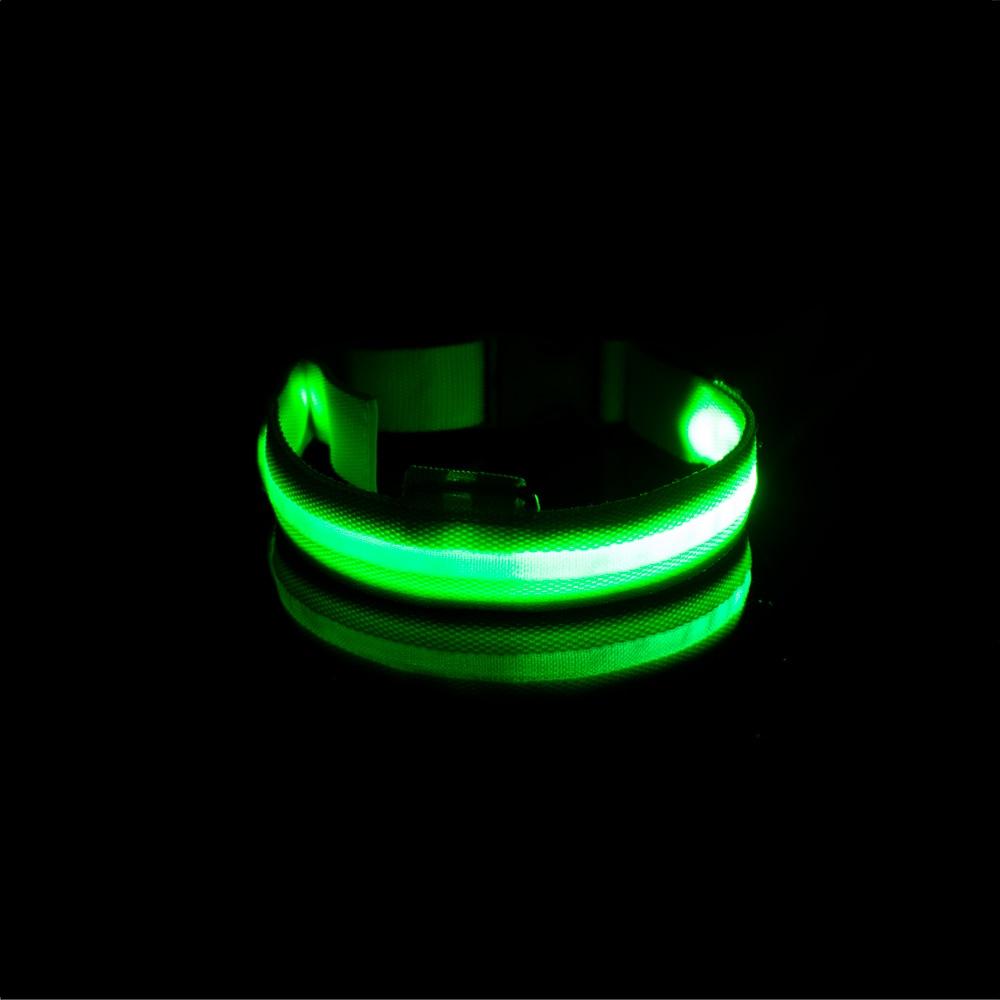 LedCollar™ - Collier à LED rechargeable pour chien - Coeur de Toutou