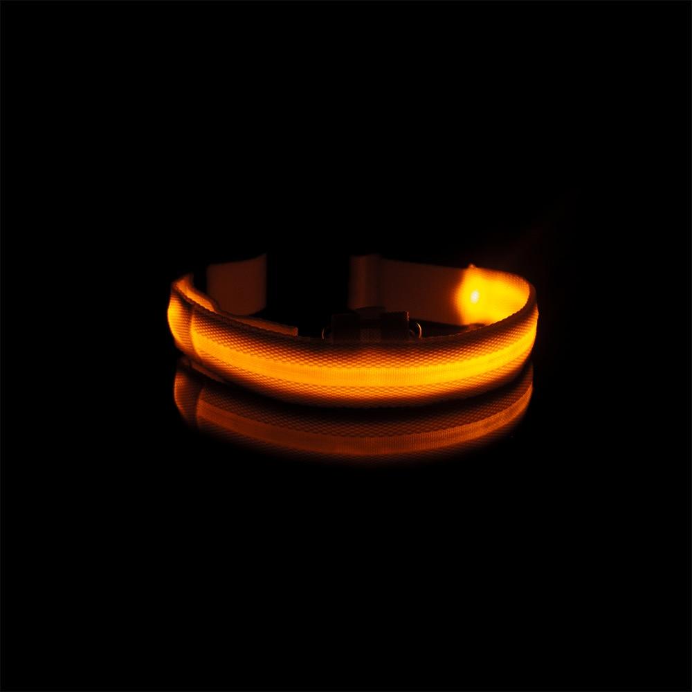 LedCollar™ - Collier à LED rechargeable pour chien - Coeur de Toutou