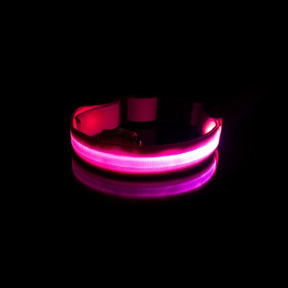 LedCollar™ - Collier à LED rechargeable pour chien - Coeur de Toutou