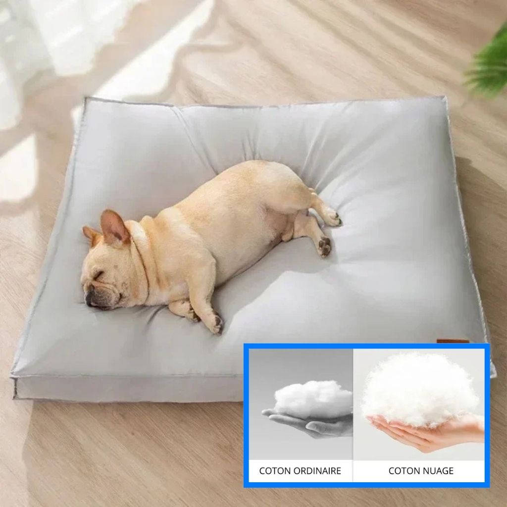 Tapis rafraîchissant pour chien | CoolNest™ – Lit d'été