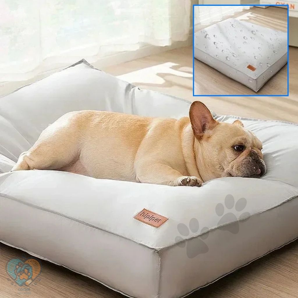 Tapis rafraîchissant pour chien | CoolNest™ – Lit d'été