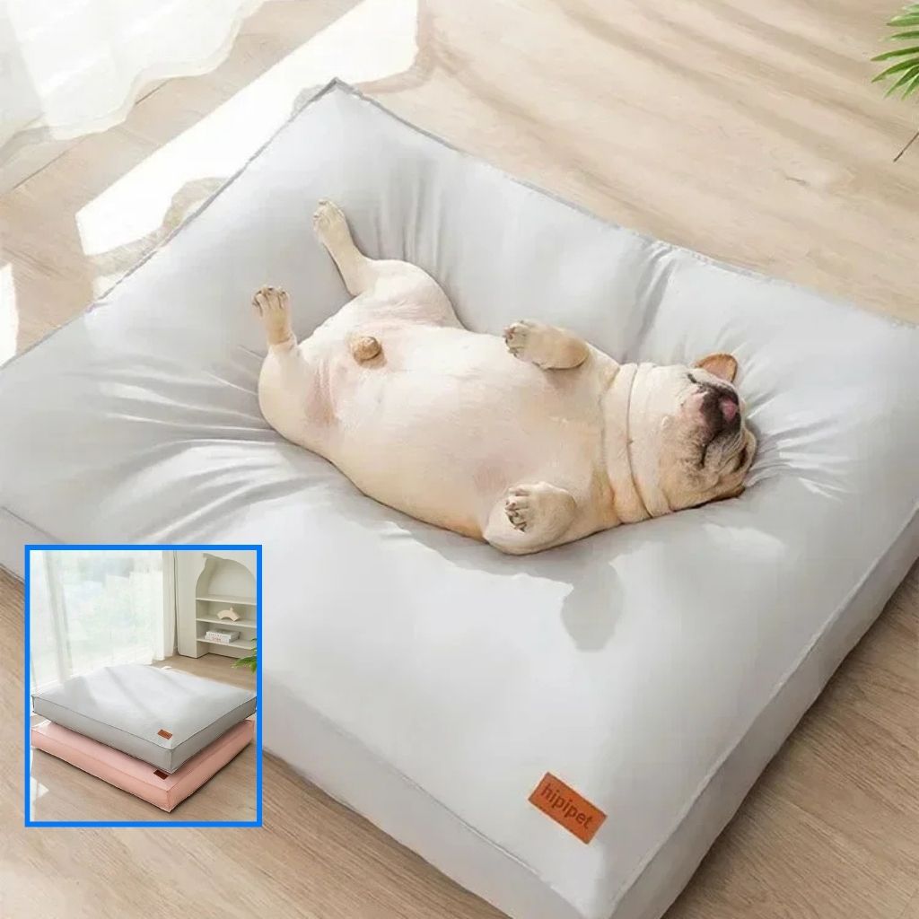 Tapis rafraîchissant pour chien | CoolNest™ – Lit d'été