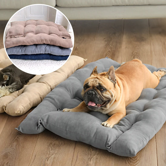 Lit Multifonction pour Chien 3-en-1 – Confort, Apaisement et Mobilité | DouxZen™