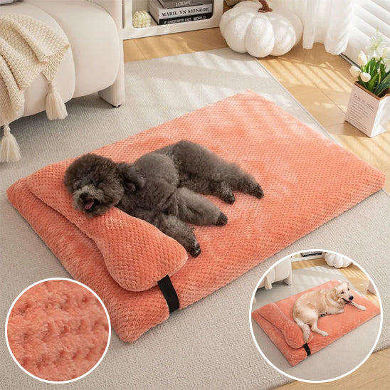 Lit pour chien avec oreiller intégré | Doodream™
