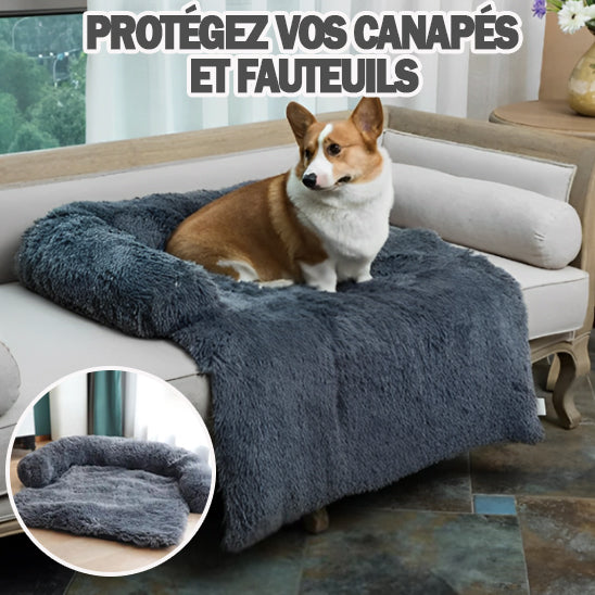 protege canapé pour chien