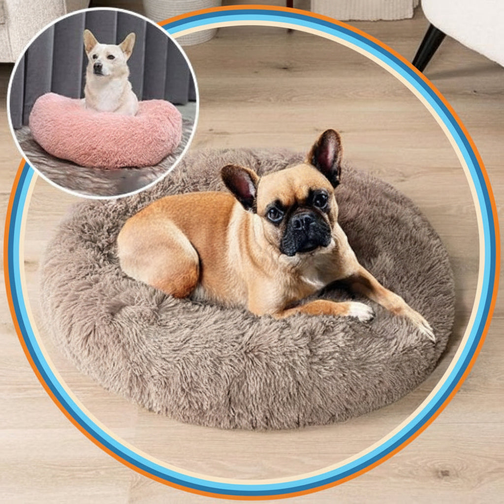 lit pour chien donut