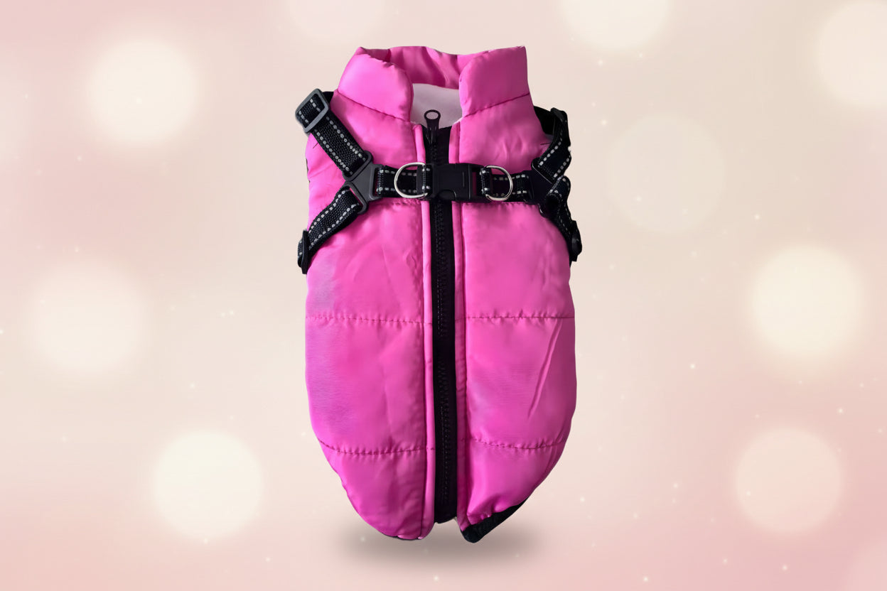 manteau imperméable chien