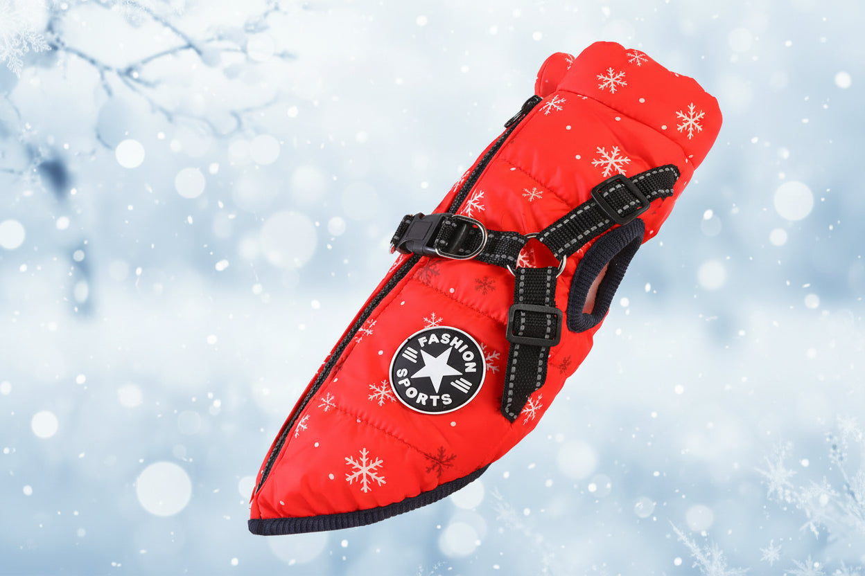 manteau imperméable chien