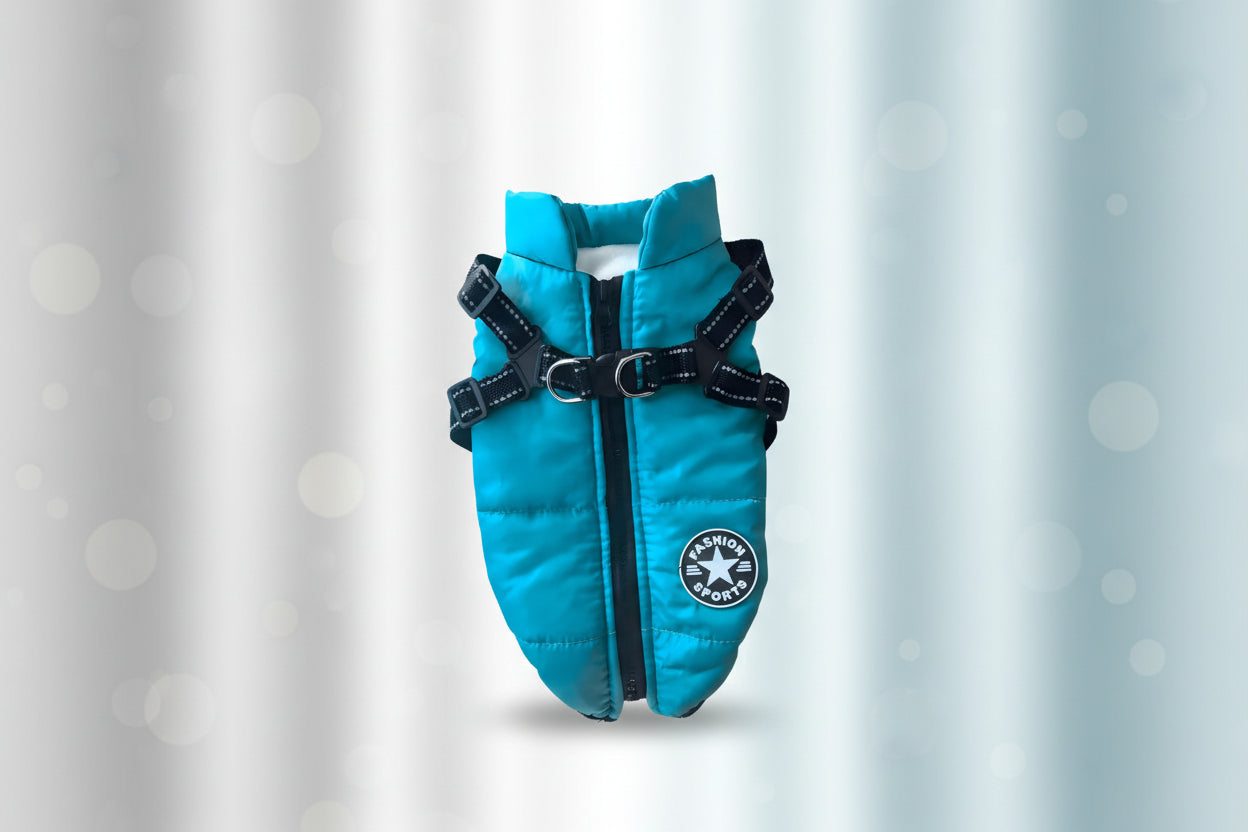 manteau imperméable chien